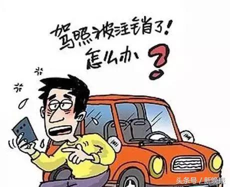 看了交通规则的感想,为什么有那么多奇葩的交规