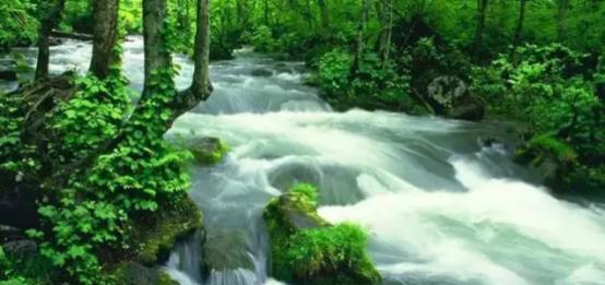 武汉2020五一周边自驾一日游,武汉五一自驾周边游推荐2022