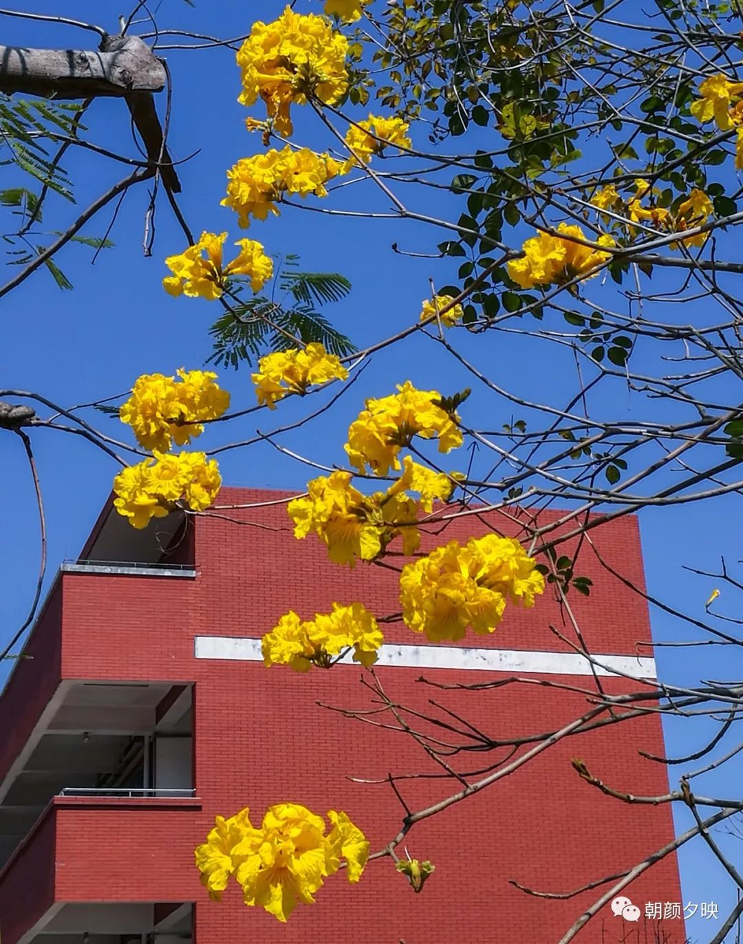 中山纪念中学100周年校庆,中山纪念中学80周年校庆