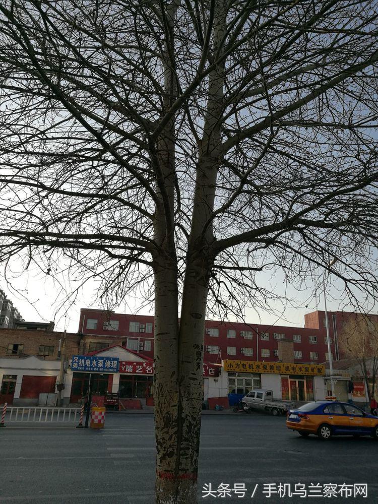 70年代的集宁,老集宁记忆