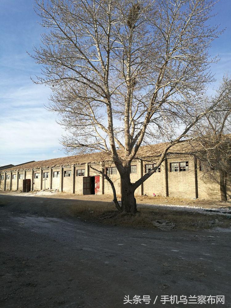 老集宁的回忆,老集宁的历史