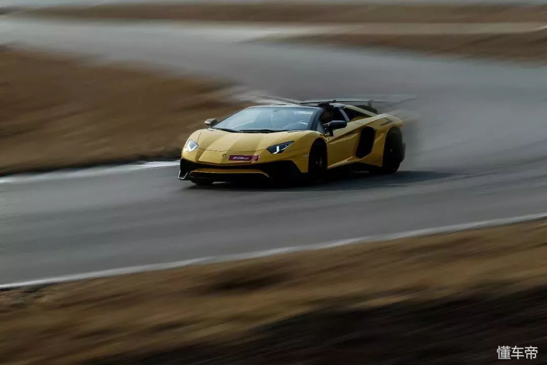 我和春天有个约会,我和春天有个约会阅读