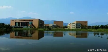 工程技术管理办法,工程技术管理流程图