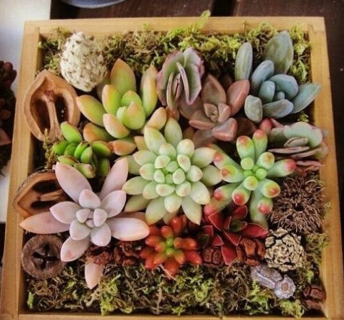 身在天涯心在咫尺情在心里,身在天涯心在墨里是什么意思