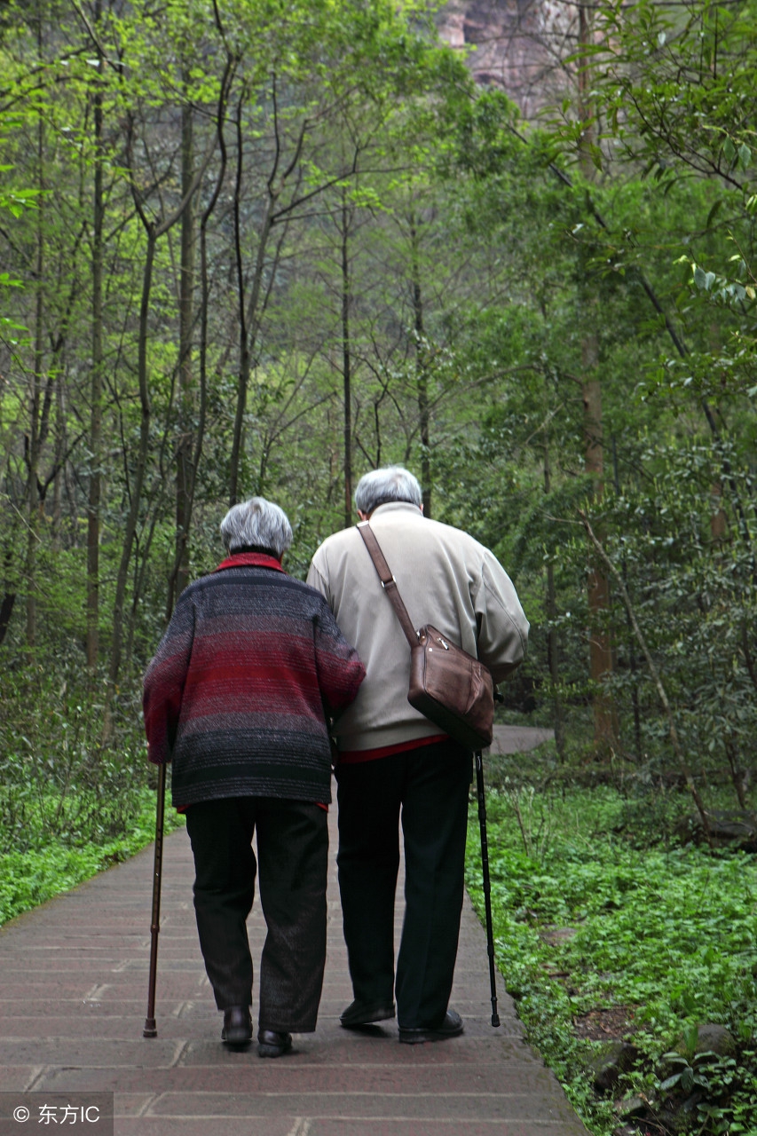 我的文学母亲——郝秀琴老师