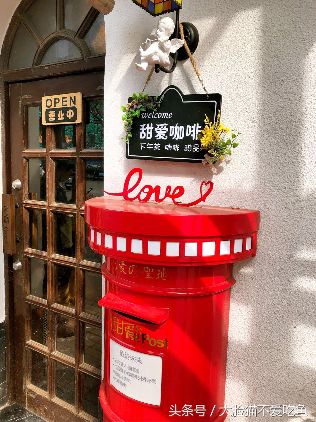 上海都市频道我和春天有个约会,与春天来个最美的约会