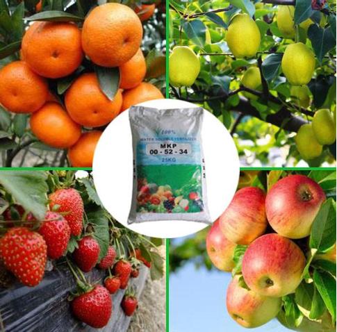 沙糖桔需要的土壤,种植砂糖橘加什么营养液