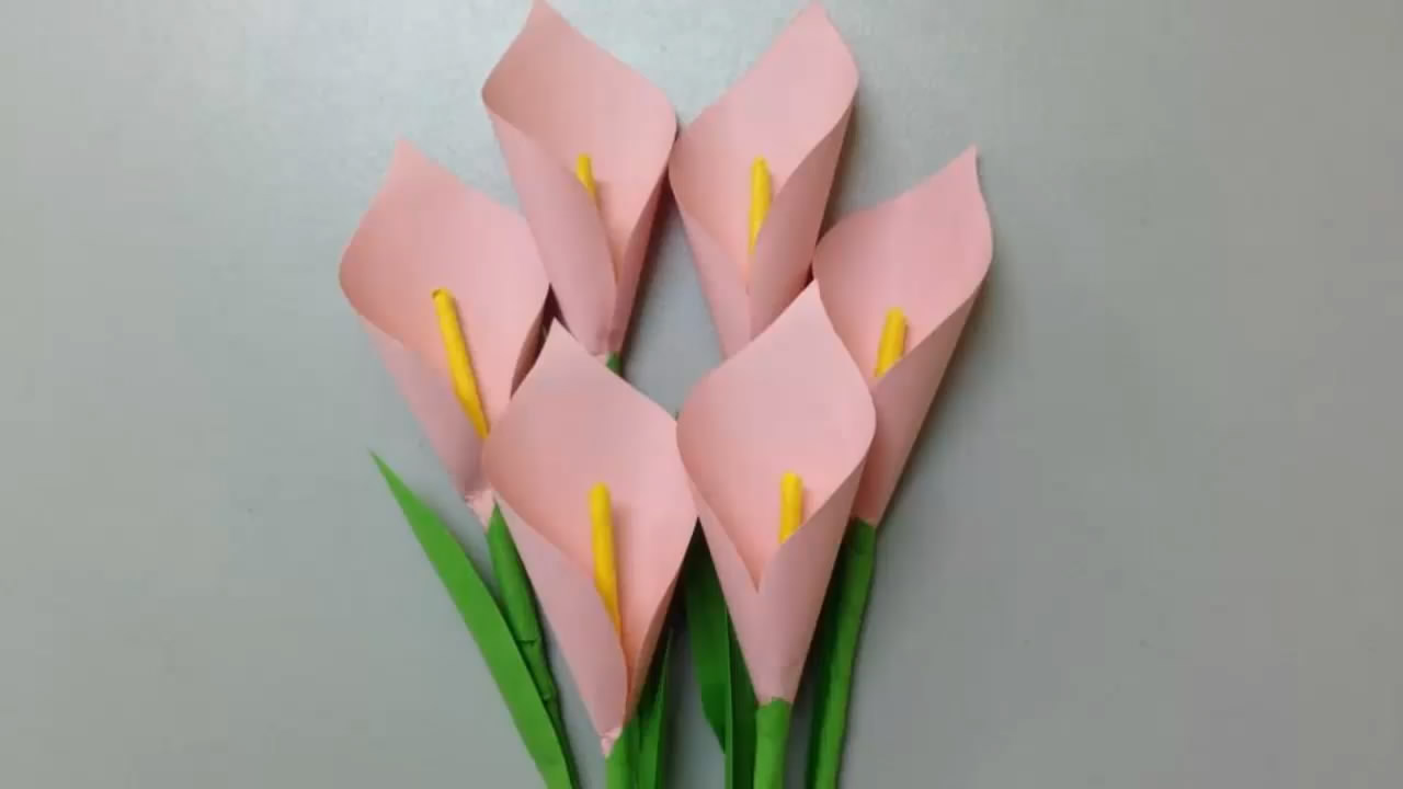 怎么让马蹄莲快速盛开,用简单的方法做一枝会开的莲花