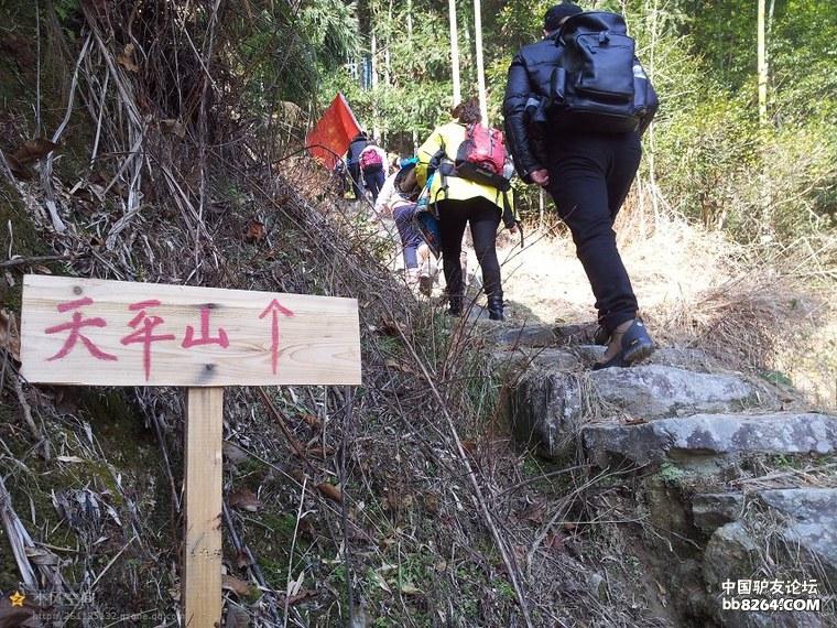 浙江龙泉地图,美丽浙江龙泉