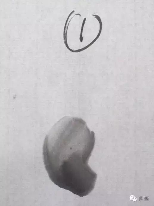 国画鸟的画法初学者,鸟的眼睛画法国画