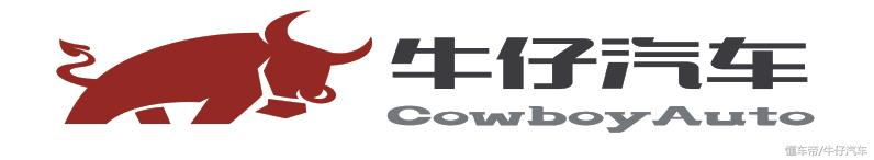 汽车早上打火给不上油怎么回事,汽车突然熄火再打火打不着