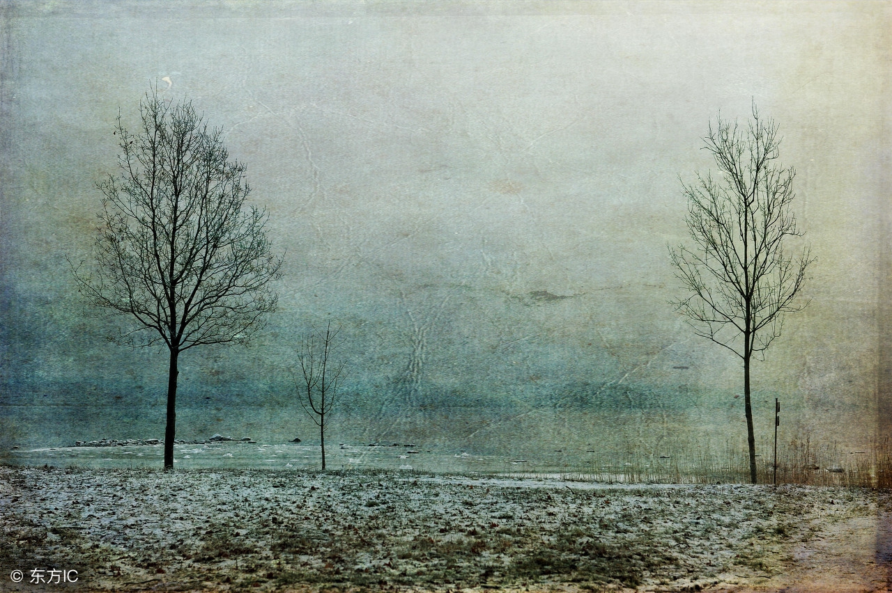 晚安心语不喜不悲,晚安心语岁月静好时光安然