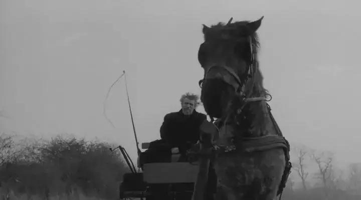 无马不自由！22部“有马”的电影，请盘住