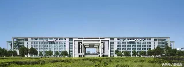 石家庄哪的公园樱花开了,石家庄樱花现在还有吗