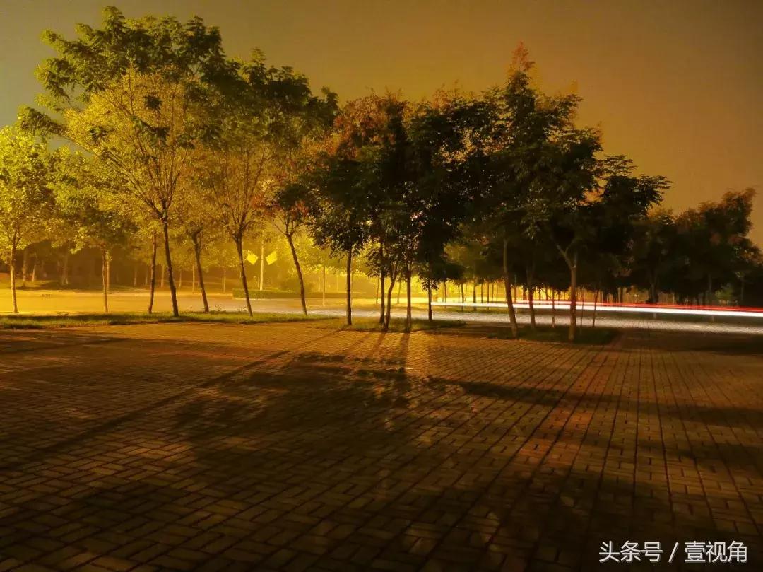 石家庄哪的公园樱花开了,石家庄樱花现在还有吗