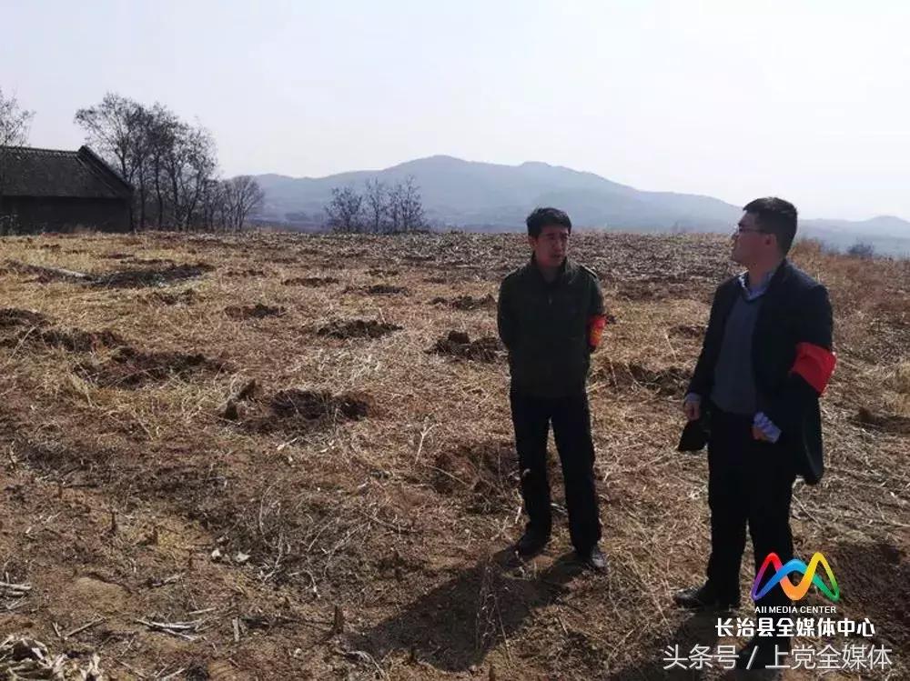 柳林屯乡土地流转,柳林经济转型