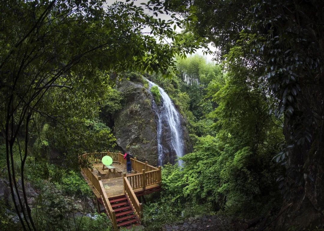 柘荣黄柏景点,柘荣黄柏村旅游攻略