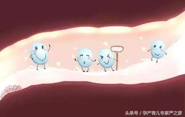 宝宝拉肚子吃益生菌便秘,拉肚子益生菌管用吗