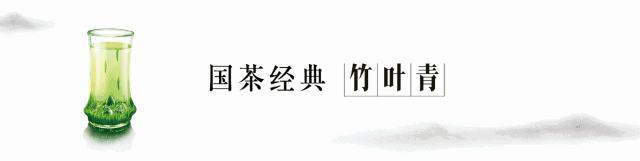 解锁春茶的多种冲泡方式,春茶上市的正确冲泡方法