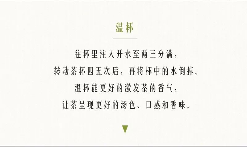 四季春茶的正确冲泡方法,春茶冲泡常识大全