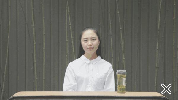 解锁春茶的多种冲泡方式,春茶上市的正确冲泡方法