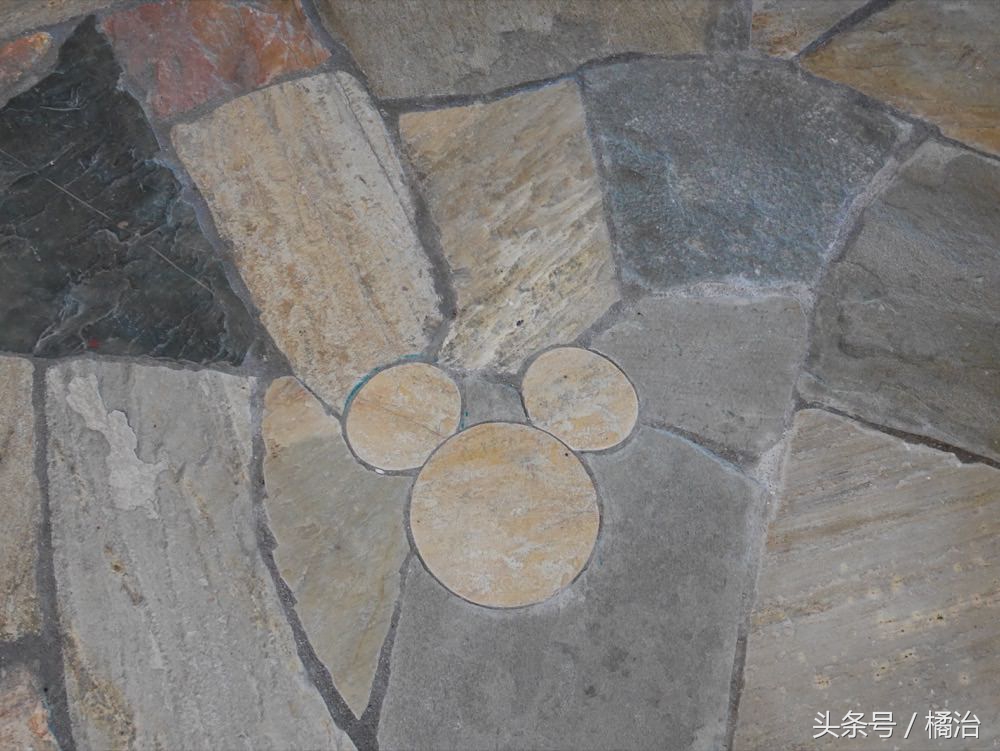 去香港迪士尼入住体验,香港迪士尼探索家酒店游泳池