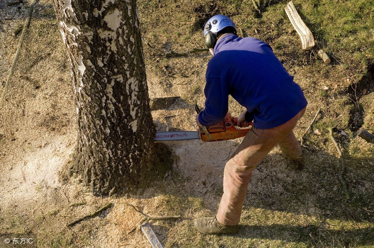 老祖宗说一人不进庙二人不看井,农村一人不进庙的俗语