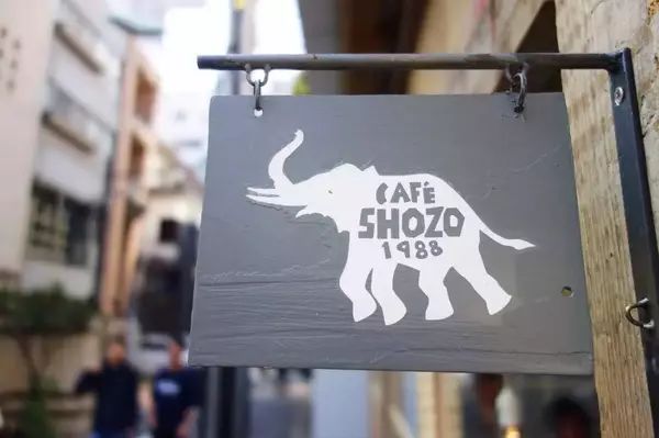 东京两日游赏樱花攻略,去东京赏樱花