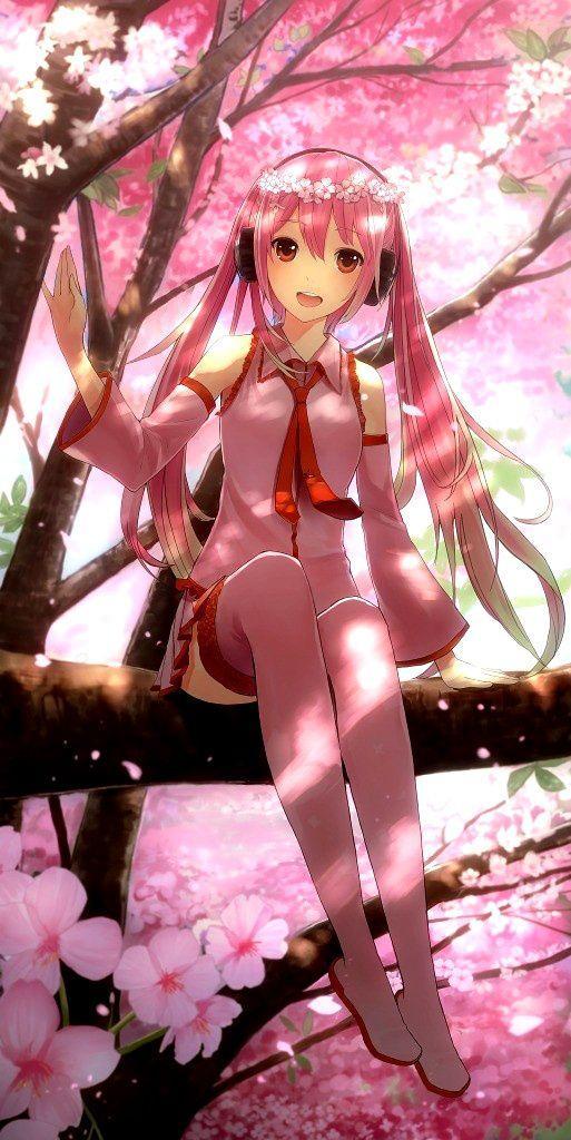 樱初音未来,樱花初音和初音未来是什么关系