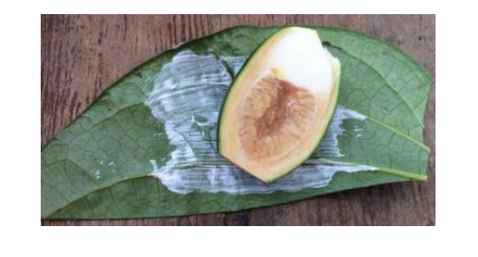 槟榔这么难吃为啥会上瘾,槟榔是如何慢慢吃上瘾的