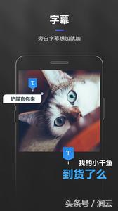 手机快剪辑软件免费版下载,视频1.5倍速手机剪辑软件