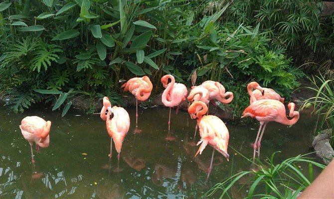 广州顺德长鹿农庄游乐场,顺德长鹿农庄值不值得去