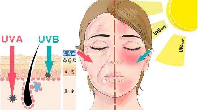 UVA和UVB哪个更厉害？一块厚玻璃就能挡住的UVB有什么可怕？