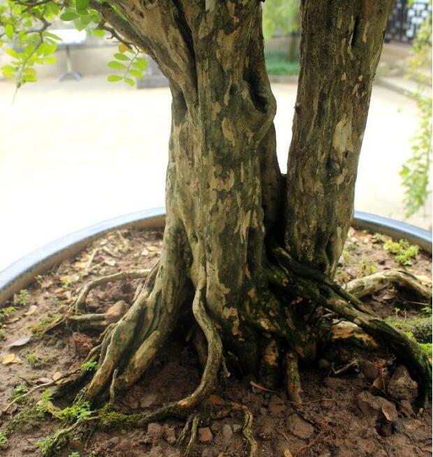 淘宝小卖家经营类目怎么选得好,淘宝店铺的小类目有哪些