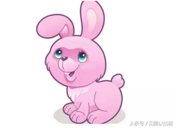 十二生肖属兔的今年运势如何,十二生肖属兔人今年的运气