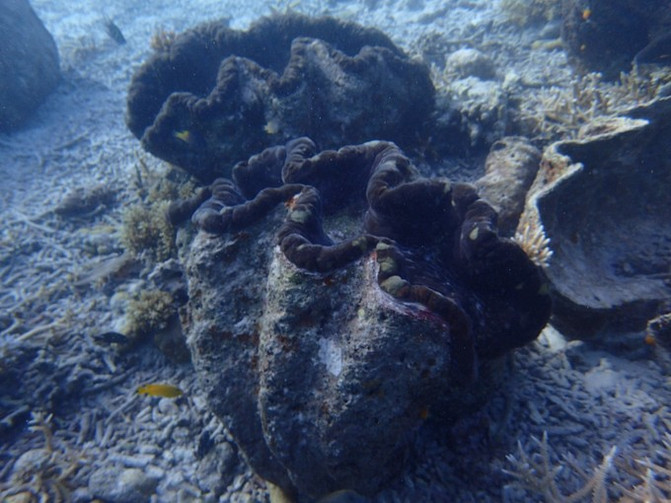 太平洋上的美丽岛屿,太平洋绝美海岛