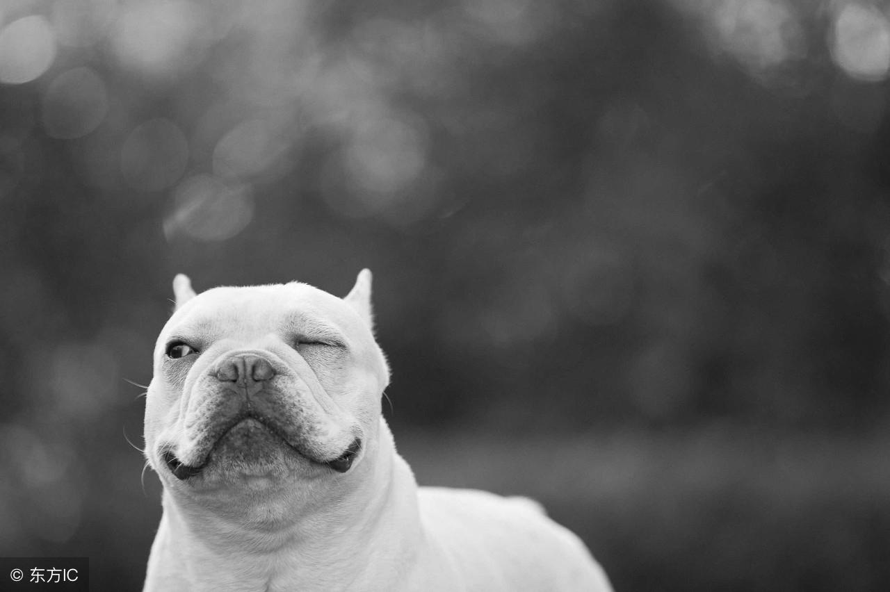 直接把老子拉出去了，卧槽，我屁股没擦，就跟他打起来了……