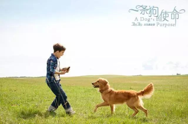 确认过的眼神是我想宠的人,确认过眼神是我想撩的灵魂