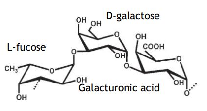 薇姿精华护肤品,薇姿矿物质精华