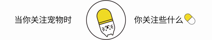 【V-story】做一名宠物医师是种怎样的体验?(上)