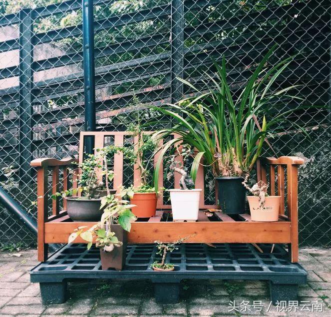 2023昆明到香港的高铁什么时候开,昆明至香港高铁何时通车