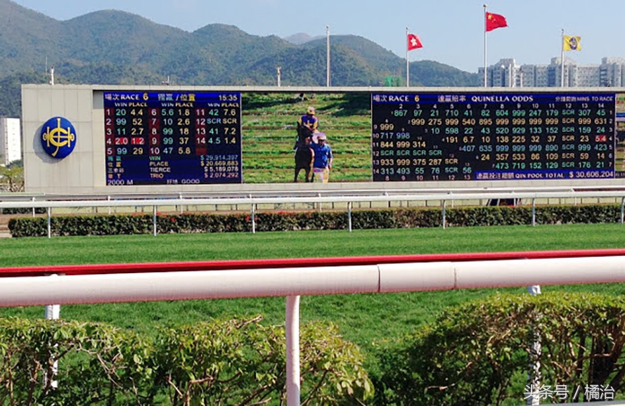去香港赛马场，买张马票看马儿热血冲刺，超酷！（内含详细攻略）