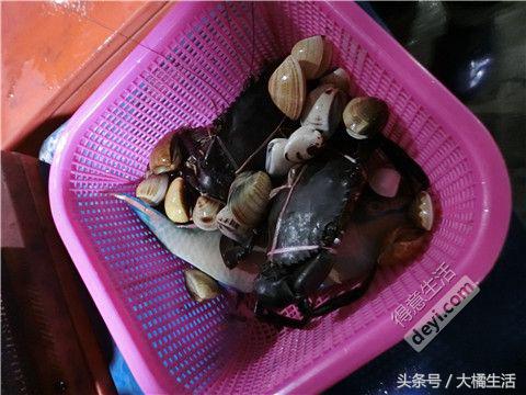 悠哉的沙巴行空气清新重要的是接机仅需1元