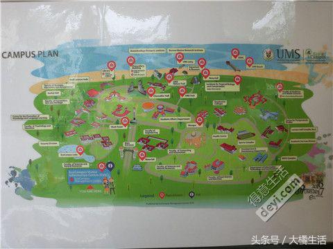 悠哉的沙巴行空气清新重要的是接机仅需1元