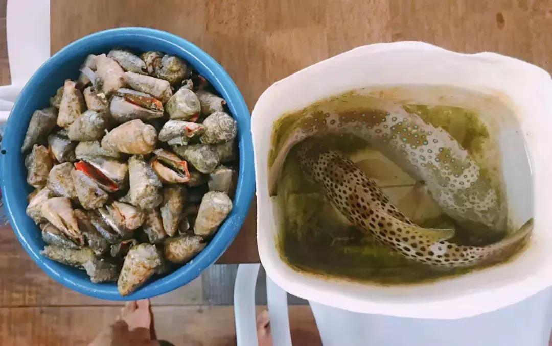 仙本那和印度尼西亚潜水哪个更好,仙本那彩湖潜水度假村多少钱一天