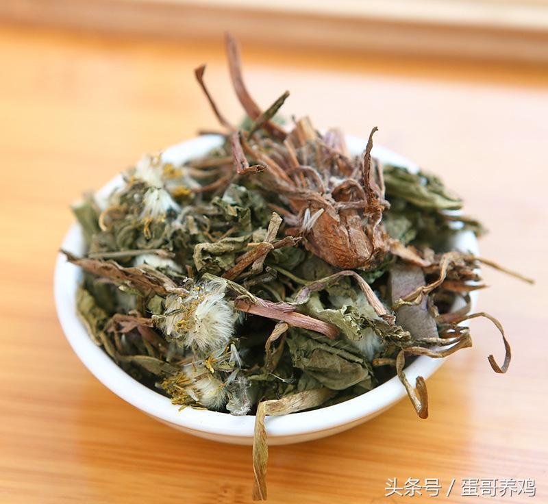 养鸡秘诀老兽医留下二十味中药,养鸡最经典的五种草药