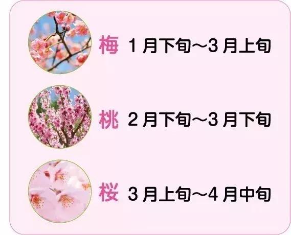 南昌梅岭一日游攻略老四坡,南昌梅岭一日游攻略冬天