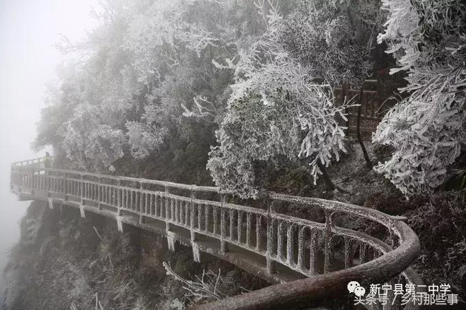 崀山鲸鱼闹海视频,不见鲸鱼的全部小说