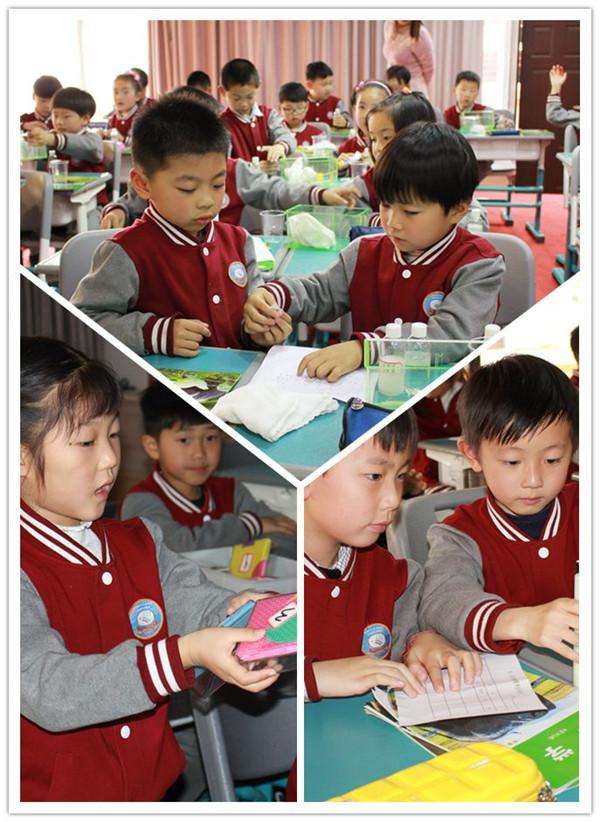 小学科学实验教学培训,小学科学暑期培训