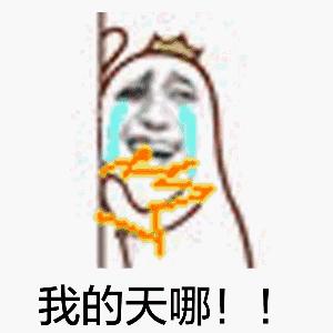 加拿大海关禁带物品清单,加拿大海关禁止带入的物品有什么